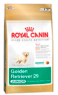 golden-retriever-29-junior_productImage