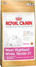 west-highland-white-terrier-21_productImage